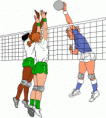/album/fotogaleria/voleibol-gif/
